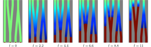 nanowires_branched_pores